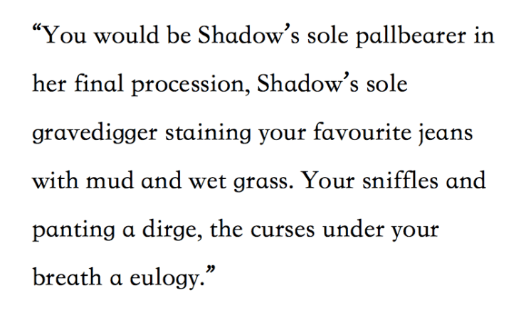 Screen Shot 2018-04-19 at 2.41.58 PM